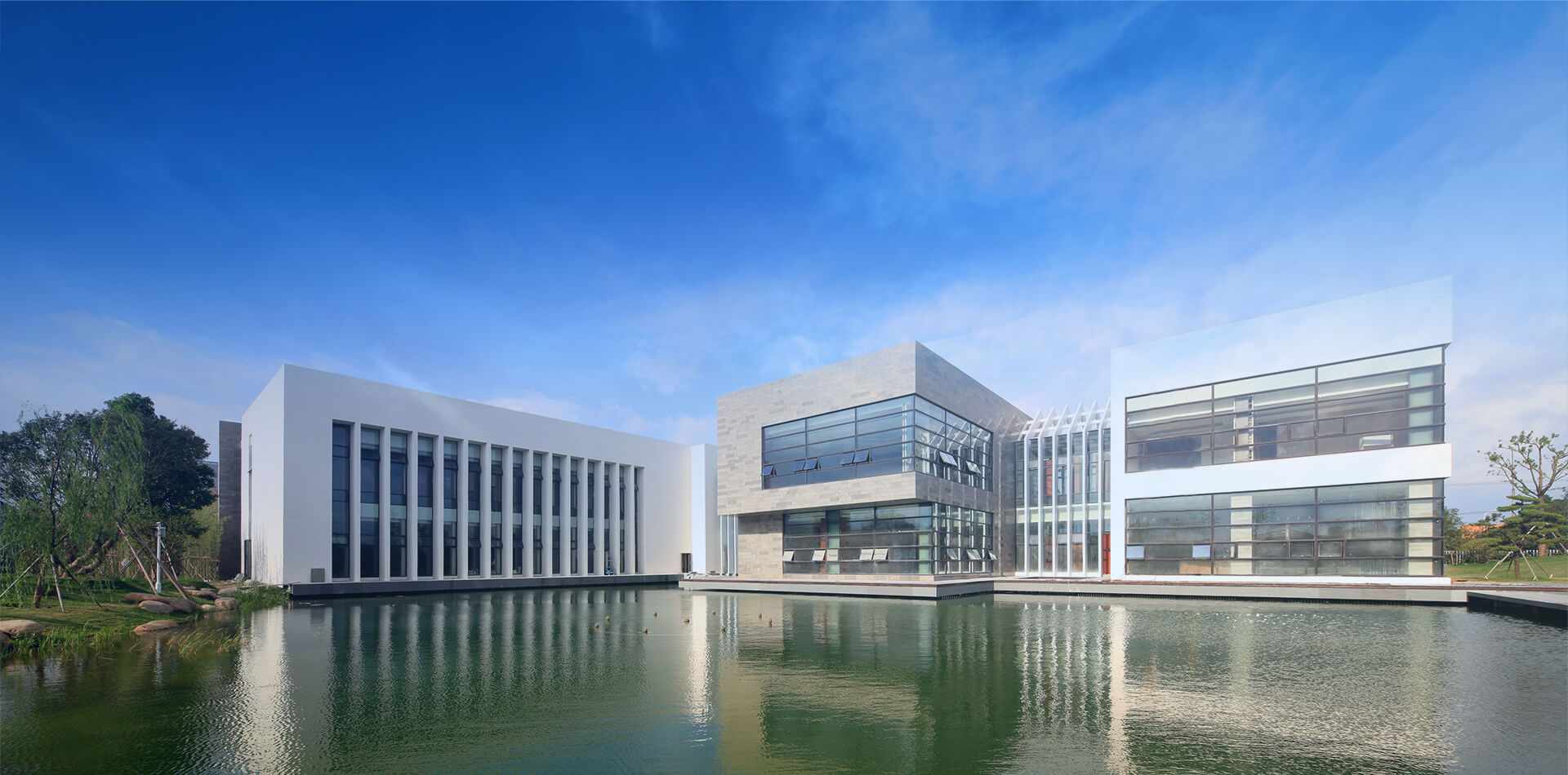 ���ƹ�����ҳ